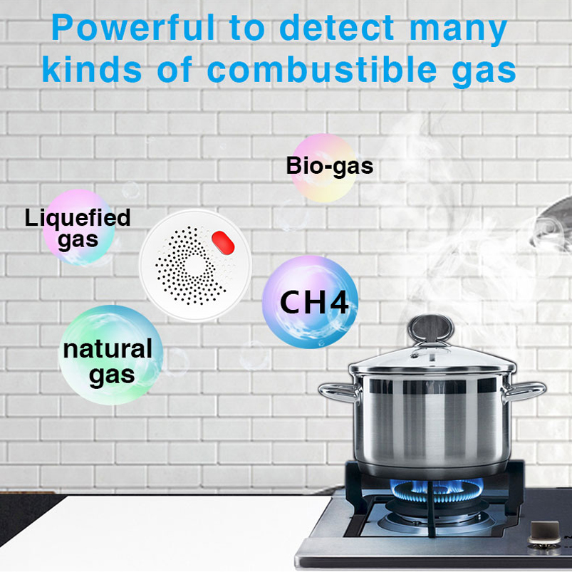 EU/US/UK Tuya Smart Home 2.4G  - огляд і ціна Smart Home Certification