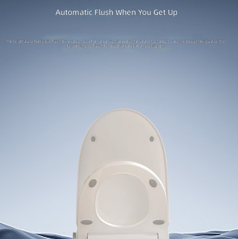 Heated Smart Toilet Seat, Auto - огляд і ціна Smart Home
