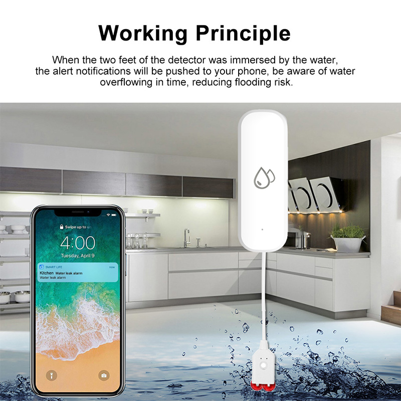 Tuya WiFi Water Leakage Alarm  - огляд і ціна Smart Home News
