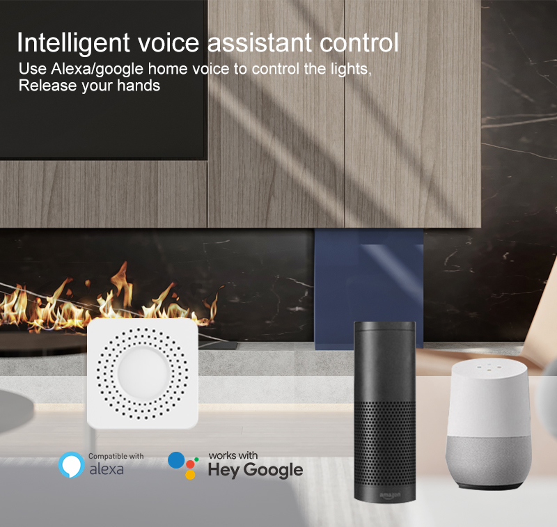 Tuya Mini Smart Switch WiFi 1- - огляд і ціна Smart Home Voice Control