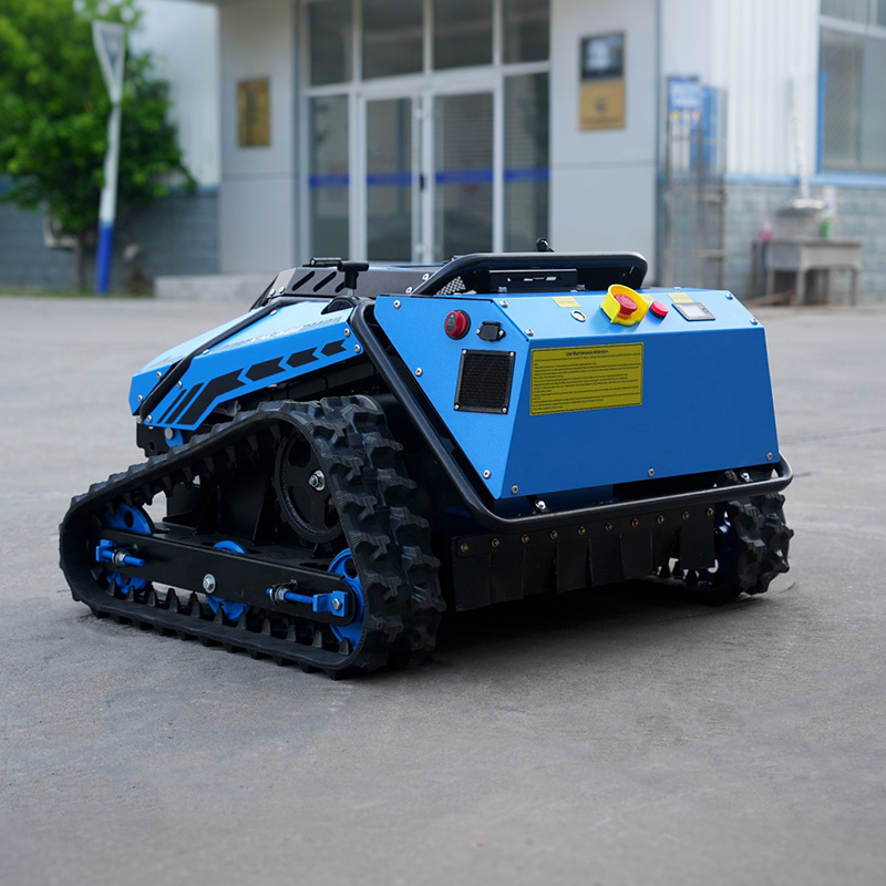 Robot Lawn Mower with Lidar Ca - огляд і ціна Smart Home Camera