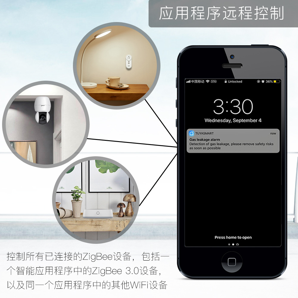 New Multi-Mode Smart Gateway,  - огляд і ціна Smart Home Living