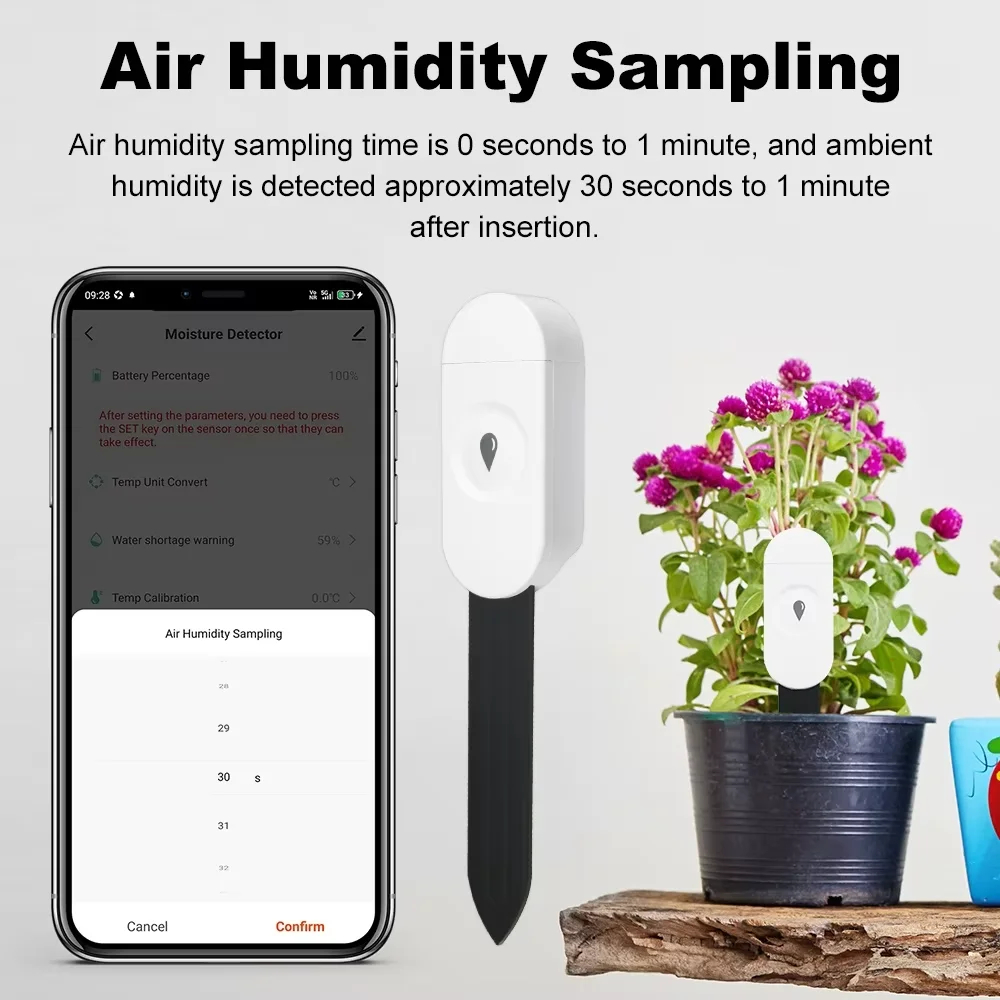 Zigbee Temperature Humidity Mo - огляд і ціна Smart Home News