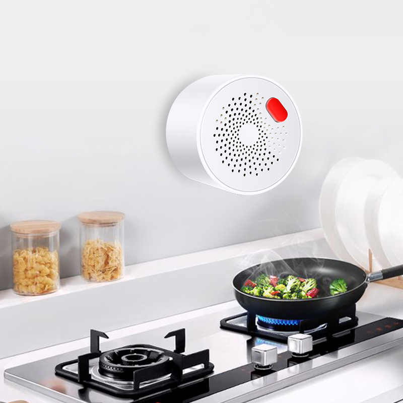 Tuya Smart Home Wifi Natural G - огляд і ціна Smart Home Certification