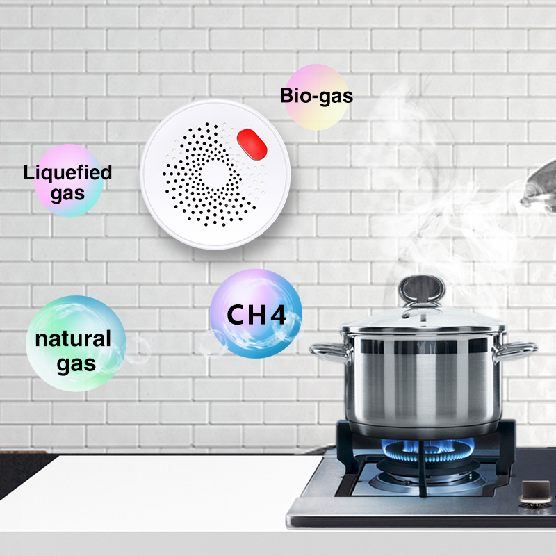Tuya Smart Home Wifi Natural G - огляд і ціна Smart Home Certification